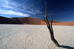 Traumwandern in der Namib